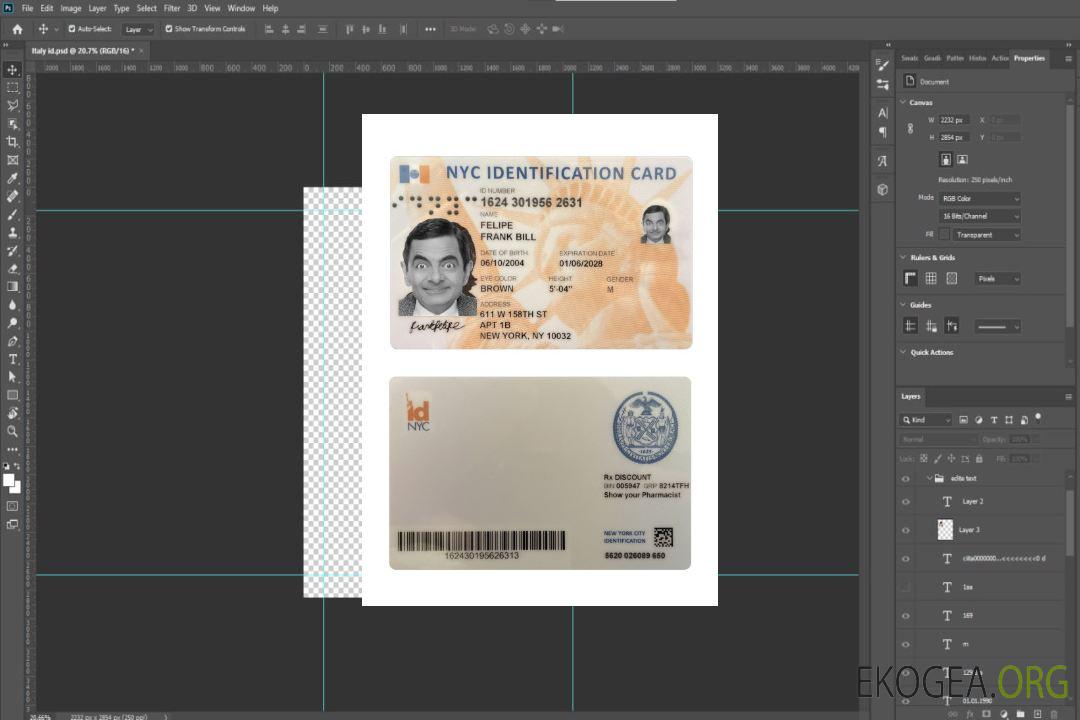 Carte d'identité USA New York template Carte d'identité USA New York template